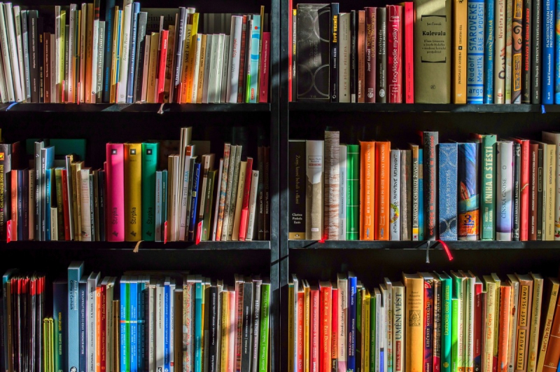 vente-ANDON-min_books_bookstore_book_reading_shop_writer_sale_books_read-822866